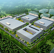 某大型游戏公司全球业务互访专线项目